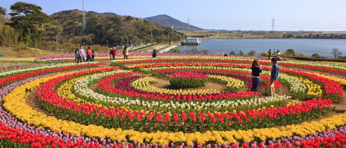 Tulip-Festival-00-JKL-Travels